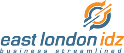 IDZ Logo